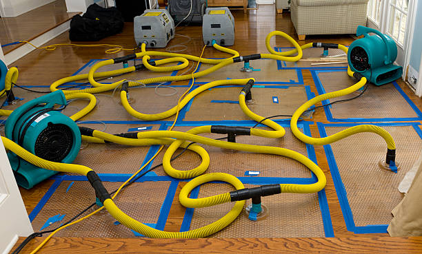 Professional Water Damage Restoration technician working in Gowen, MI