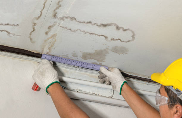 Affordable Water Damage Restoration solutions in Gowen, MI